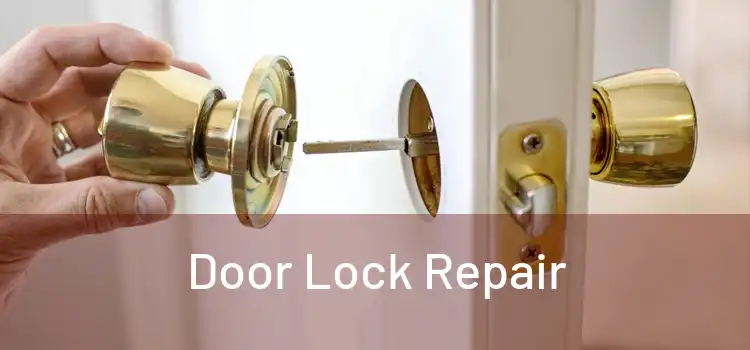  Door Lock Repair 